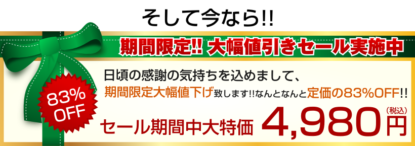 期間限定大特価